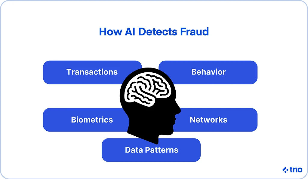 How AI Detects Fraud: Transactions, Behavior, Networks, Data patterns, Biometrics