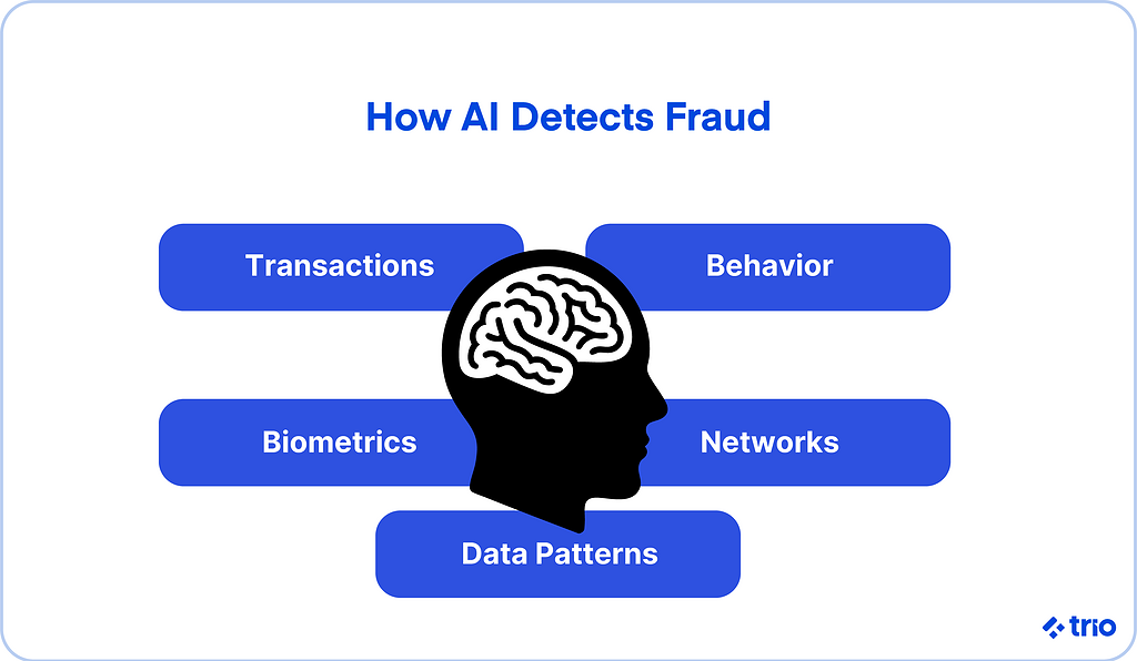 How AI Detects Fraud: Transactions, Behavior, Networks, Data patterns, Biometrics